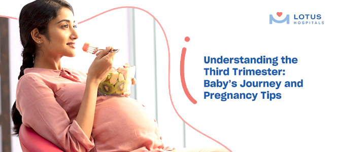 Understanding the Third Trimester: Baby’s Journey and Pregnancy Tips